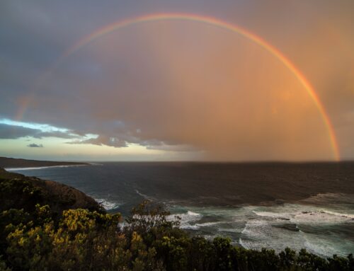 Visions of Rainbows and Gold