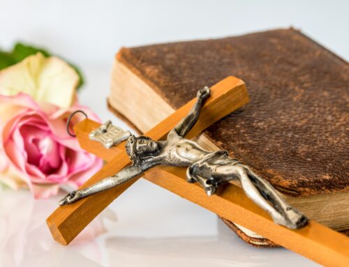 When the Earth Shook