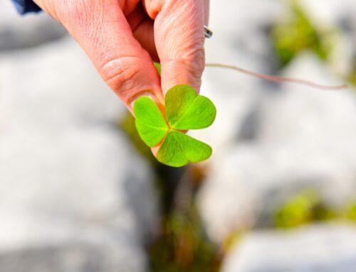 Green Snacks for St. Patrick’s Day