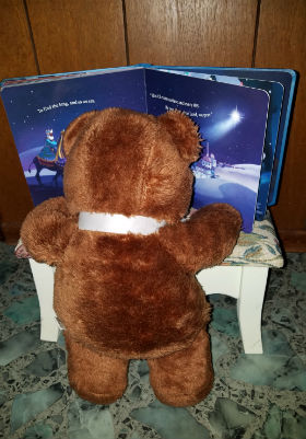 bear-reading-book280wx401h_orig