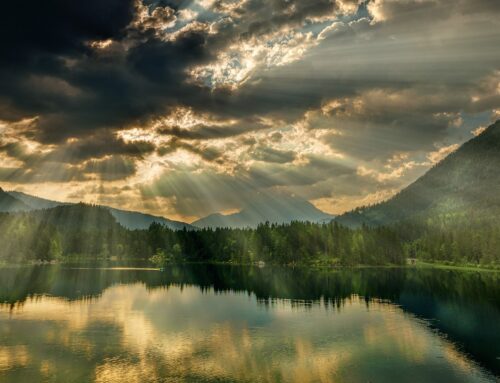 Christmas Candle Ceremony for Recent Loss
